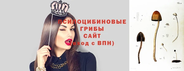 кокаин перу Белокуриха