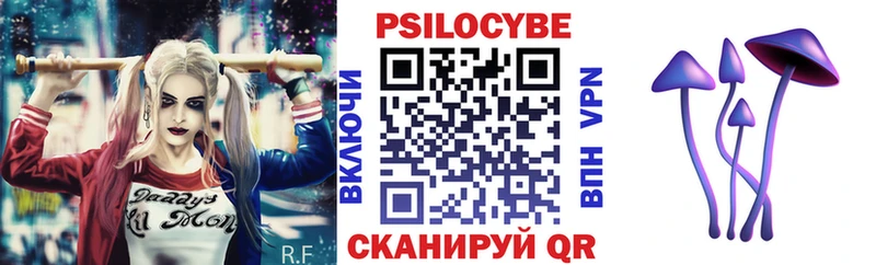 цены   Королёв  Псилоцибиновые грибы Cubensis 
